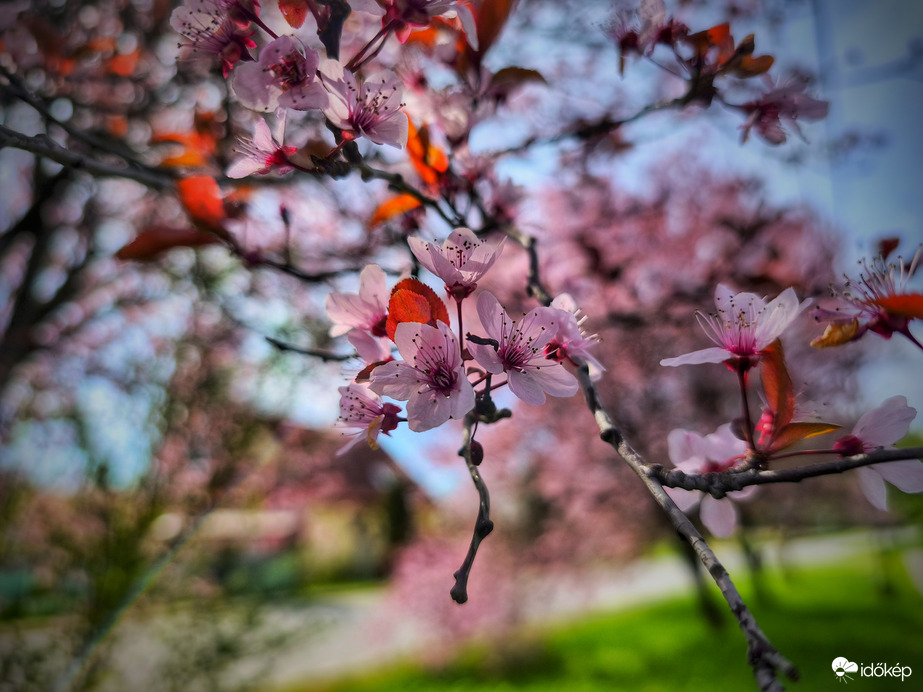 Még mit sem sejtenek az elkövetkező órákról
