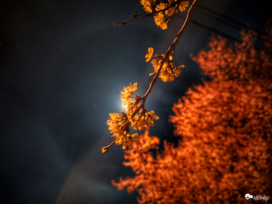 Áprilisi holdhaló búcsúzása