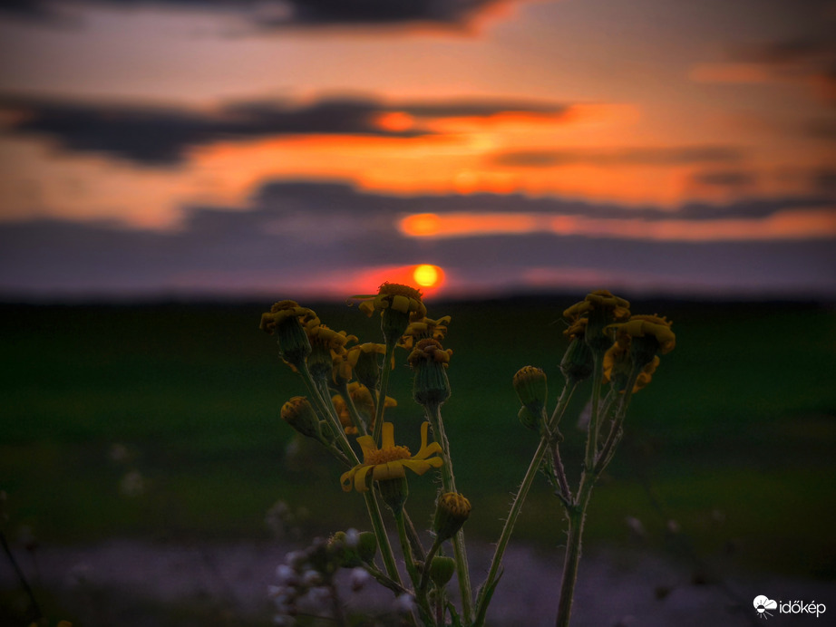 Szélvészben gazdag napbúcsú