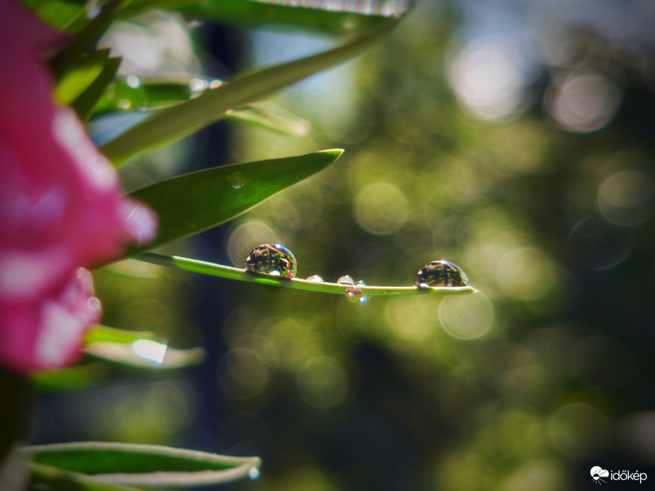 Zivatar utáni napsütésben