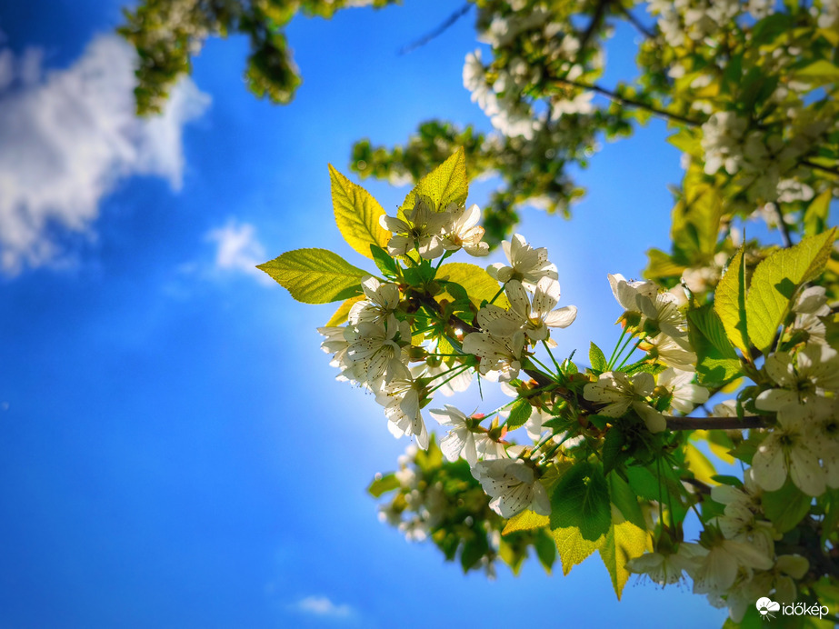 Napsütésben gazdag húsvétvasárnap