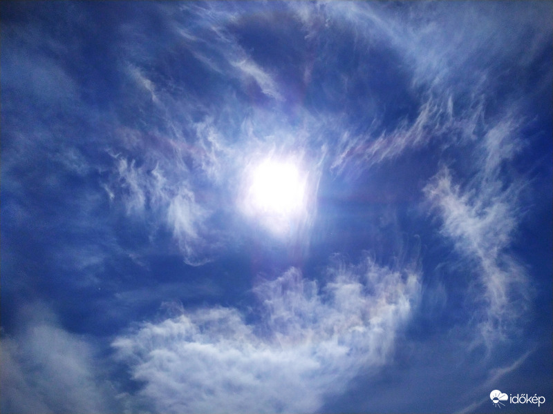 Fátylakba szőtt haló részlet