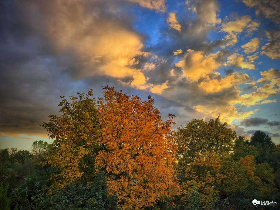 A csodák a diófa körül folytatódnak