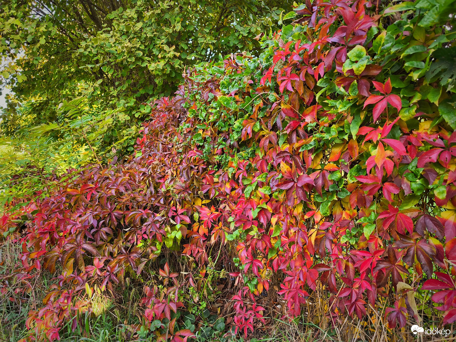 Októberi színpaletta egy képen
