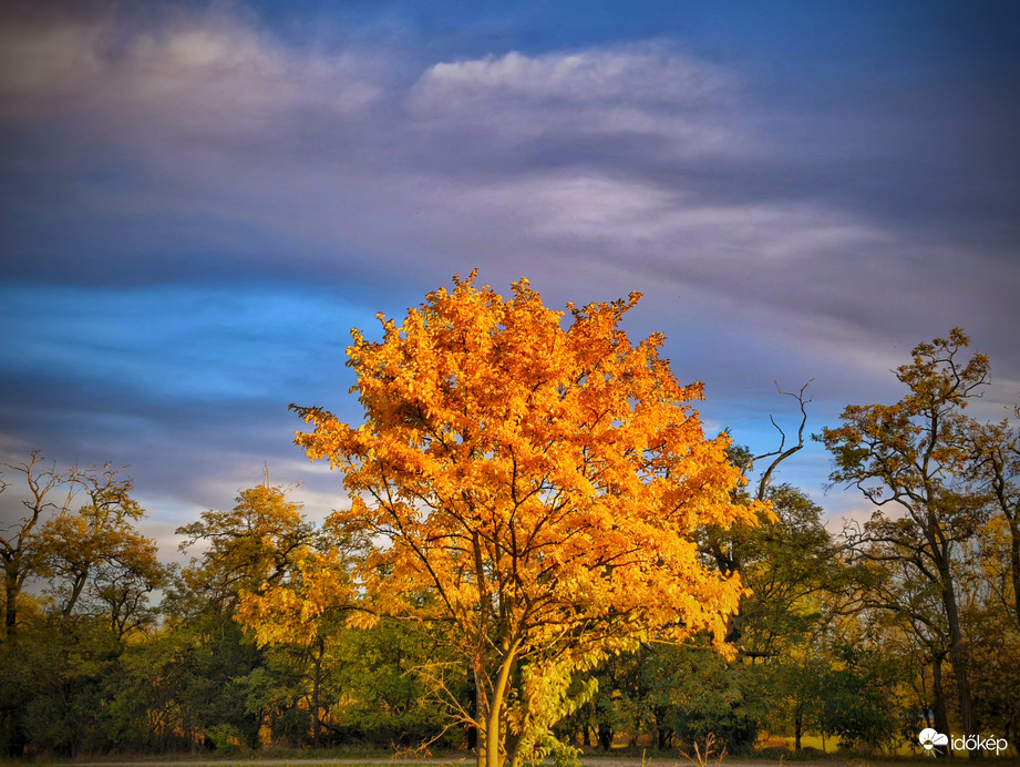 Aranyozott októberi késő délután