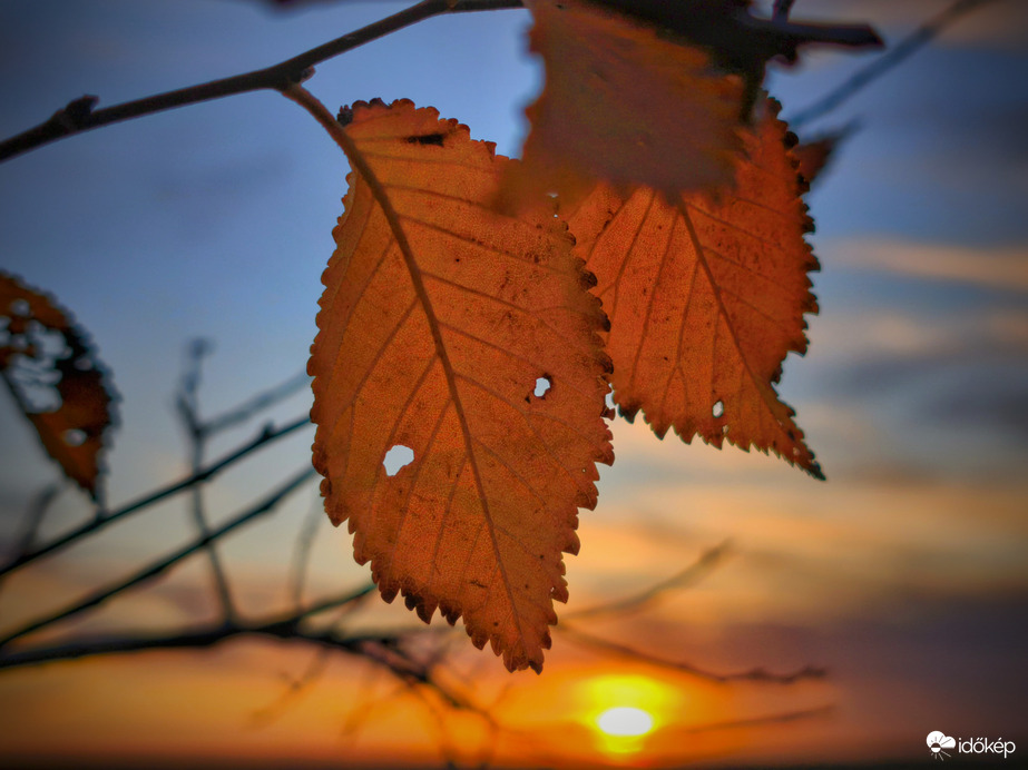 Lemenésre készülő nap az őszi levelekkel