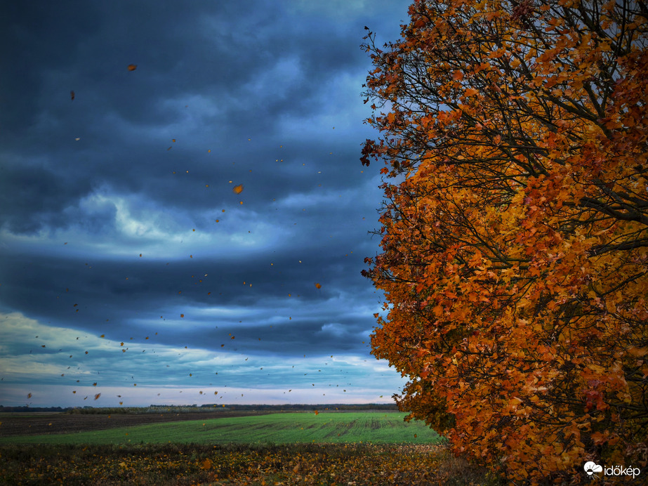 Csak úgy repültek az őszi falevelek