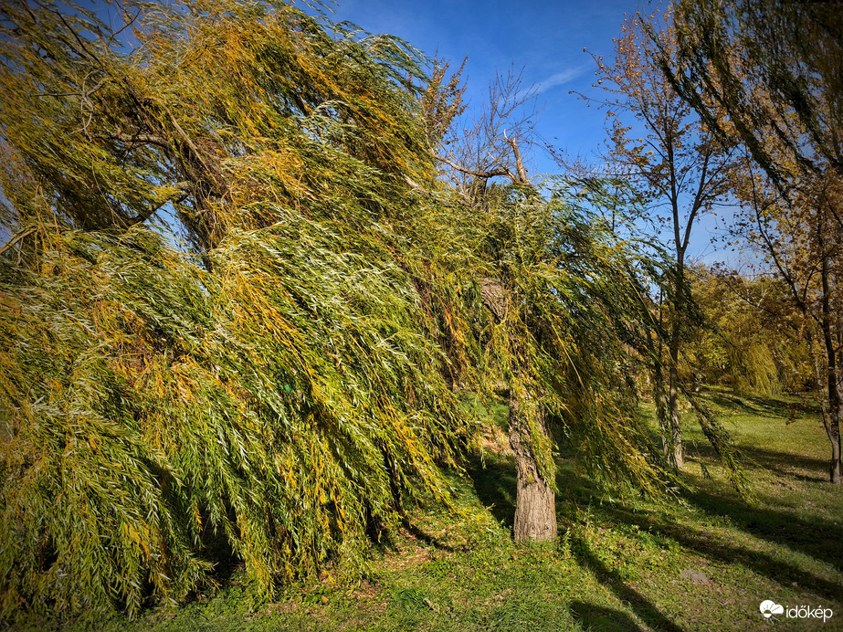 Úgy fúj a szél, mintha muszáj volna