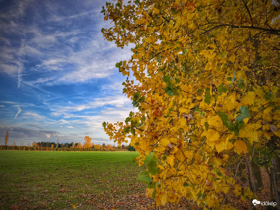 Színek a novemberi határon