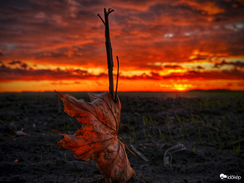 Megálljt parancsolva a naplementében