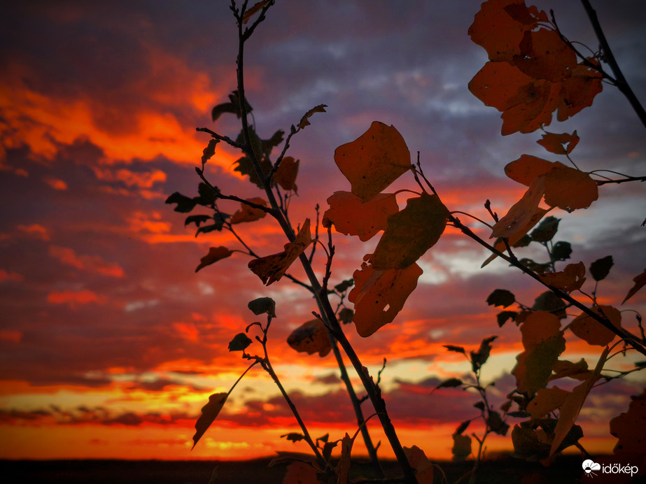 Novemberi levélvarázs naplemente idején