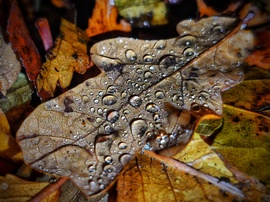 Csepergős idő esti varázsa