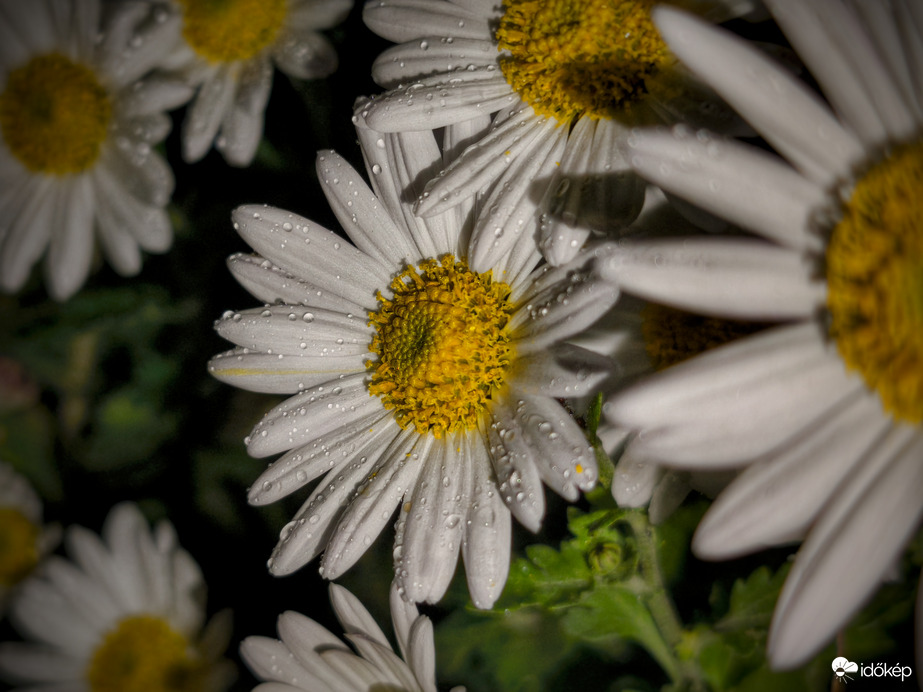 Elbűvölő esti kincsek