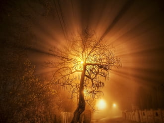 Utcai művészet a köd jóvoltából