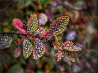 Őszi színek ékszerekkel való tálalása