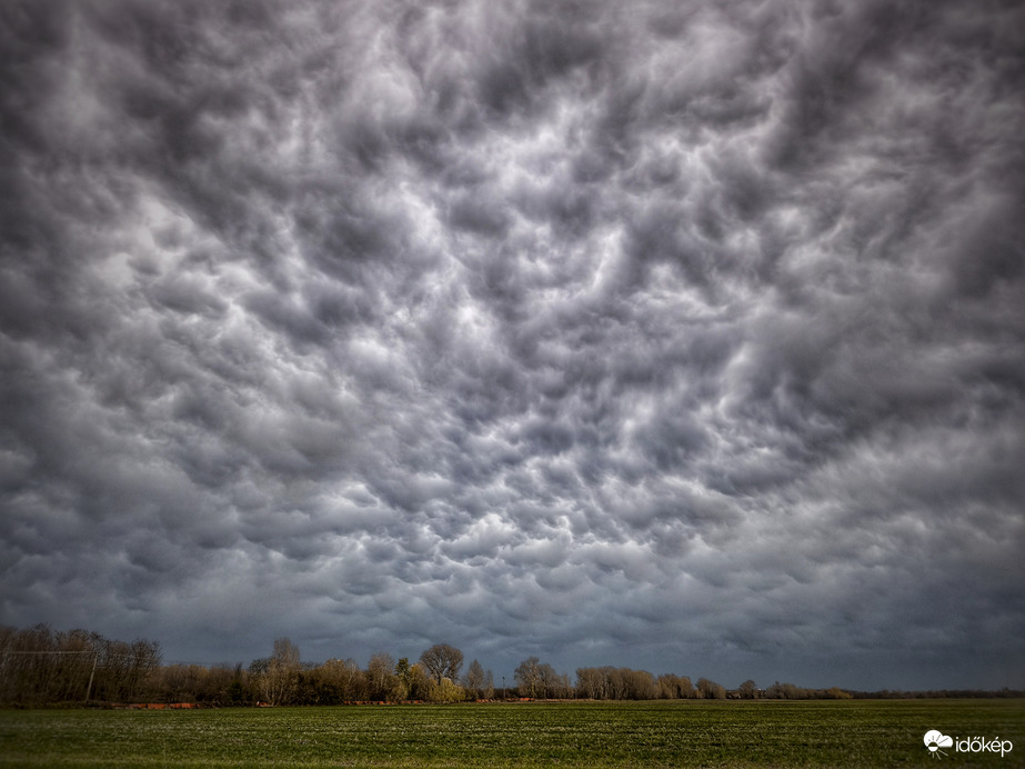 Mammák varázsa november közepe táján