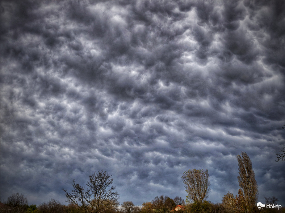 Festmény a novemberi dudorokról