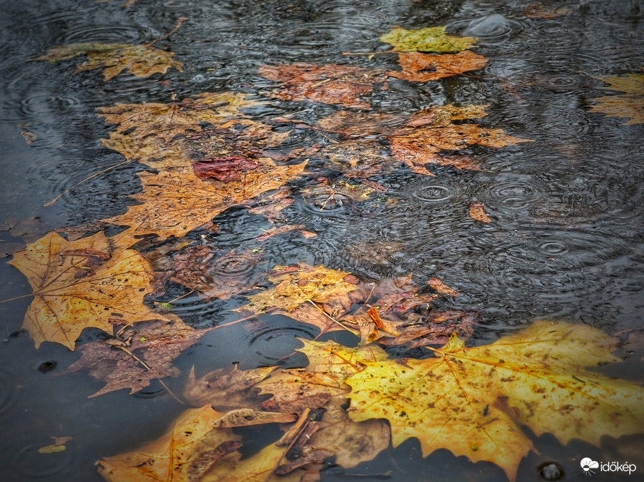 Kiadós eső érkezett már ma is