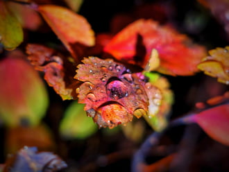 Immáron a harmadik csapadékmező öntözni a tájat