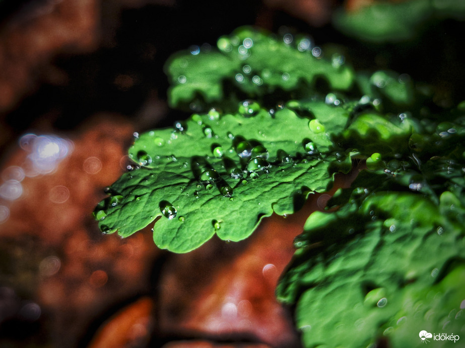 Hol kevésbé, hol jobban esik az eső