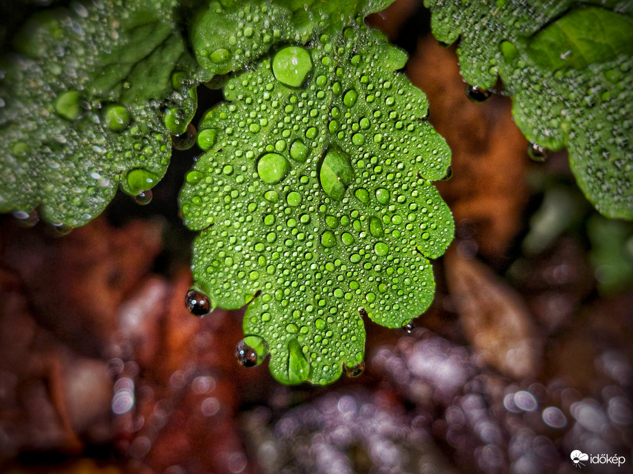 Gyöngyfalva madártávlatból