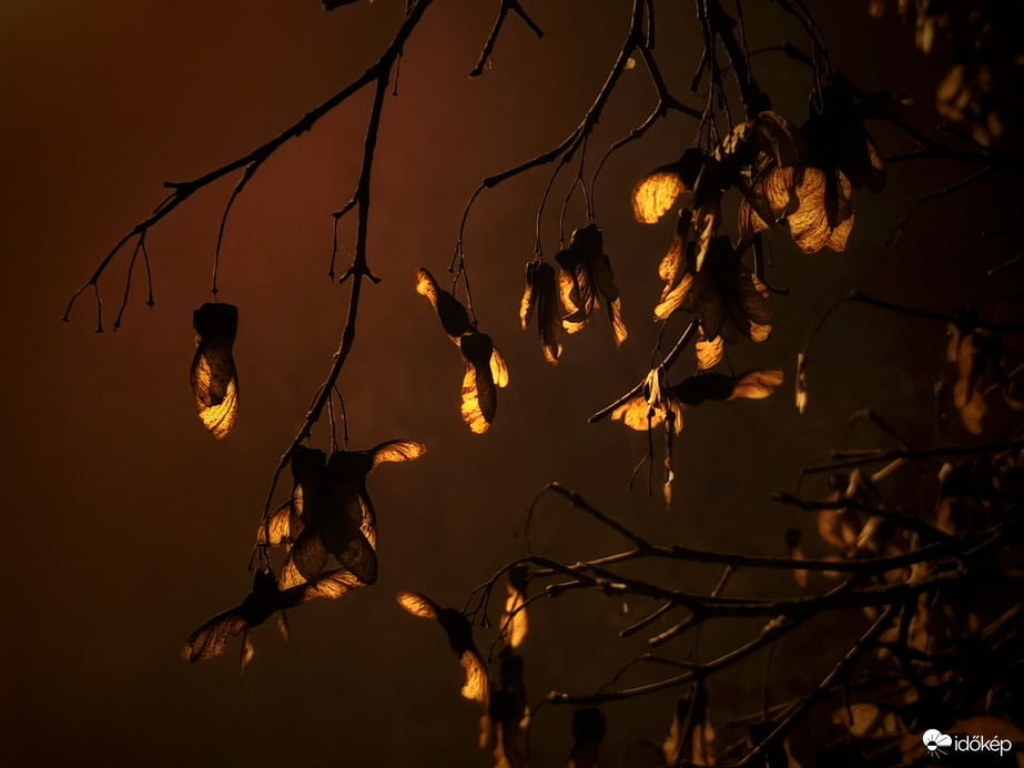 Lámpafény közelségében