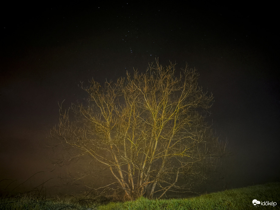 Decemberi nyílt köd éjjeli varázsa