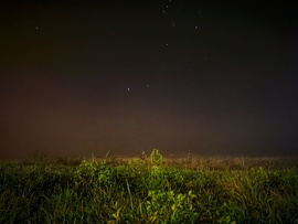 Ködösödő decemberi mező