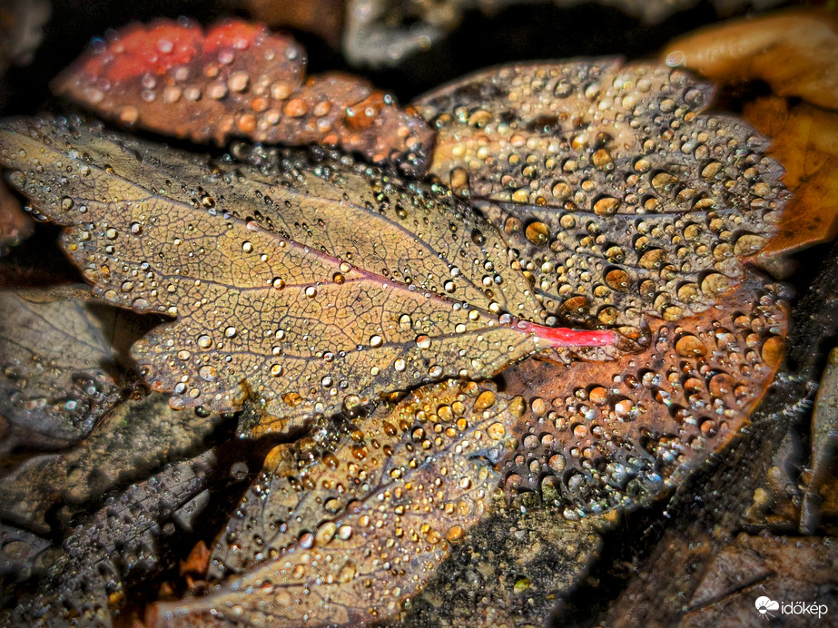 Varázslat a decemberi borúban