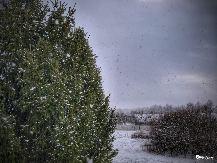 Nagypelyhes havazás zárszava