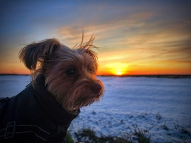 "Még azt, hogy modellkedjek ebben a hidegben!"