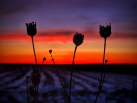 Az év első alkonyának végén