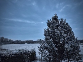Reggeli táj az első hullám elvonulta után