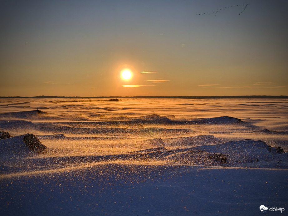 Vonulók égen és földön