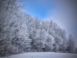 Kékség is került a kompozícióba