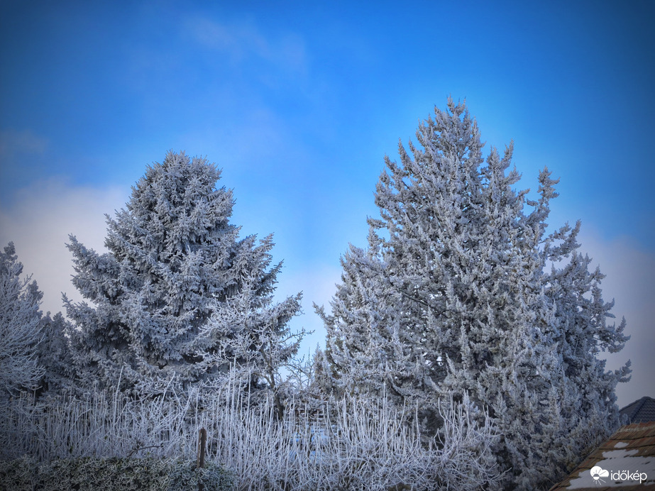 Zúzmarás fenyvesek a kiderülő égbolttal