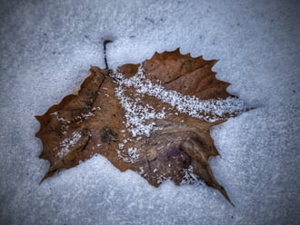 Évszakok találkozása