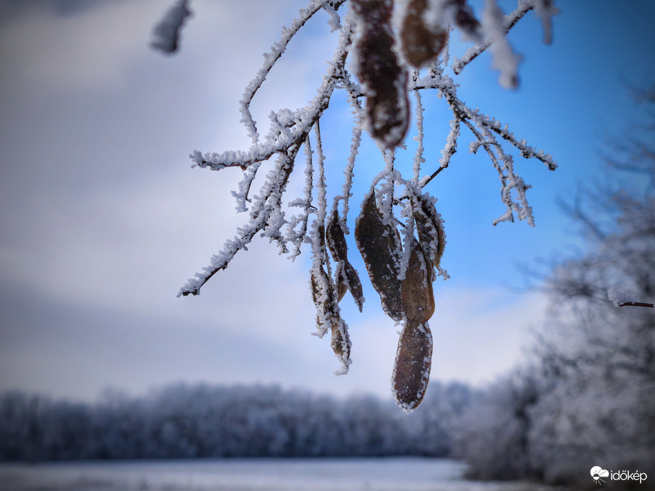 Néhány napja még a zúzmara volt az úr