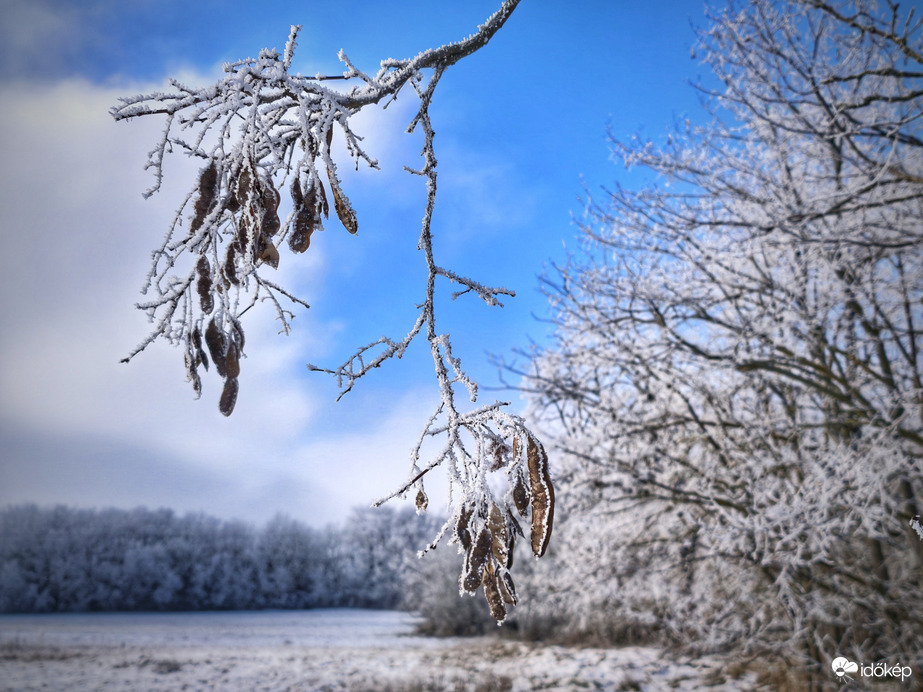 Napfény éri a zúzmarás tájat