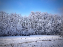 Zúzmarás téli tájkép