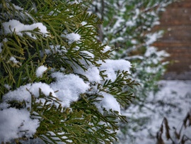 4-5 cm között járunk