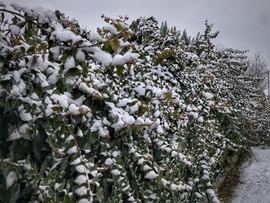 Havas február eleji nap