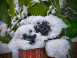 Hamarosan búcsút intünk a havazásnak