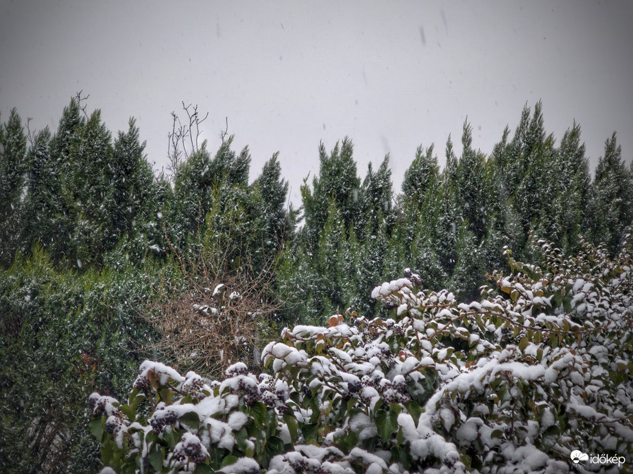 Búcsúzásképpen még rákérdezdett