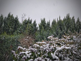 Búcsúzásképpen még rákérdezdett