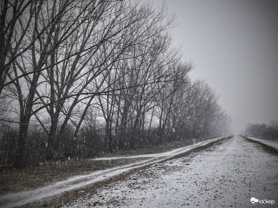 Tovatűnés a havazásban