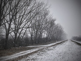 Tovatűnés a havazásban