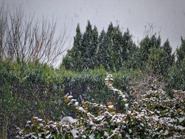 2-3 cm is benne van a pakliban