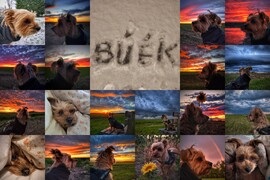 Boldog Új Évet Kívánok Mindenkinek! :)