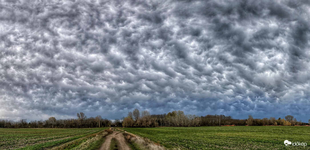 Novemberi mammás panoráma